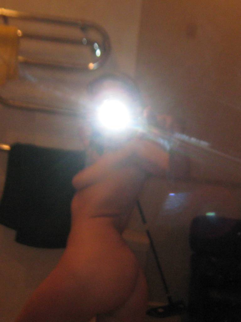 Photo de Colombe